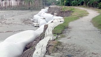 তজুমদ্দিনে বেড়িবাঁধ ভাঙনে উপজেলাবাসী আতংকিত