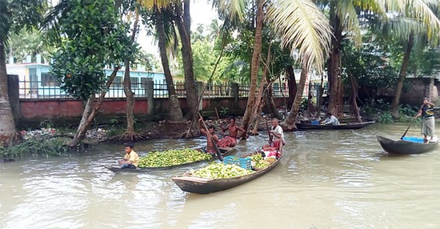 ঝালকাঠির পেয়ারা চাষিদের কোটি টাকা ক্ষতির আশঙ্কা