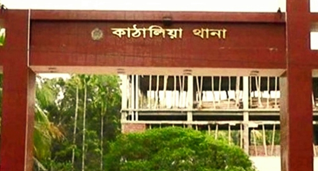 কাঁঠালিয়ায় গাছ থেকে পড়ে শ্রমিকের মৃত্যু