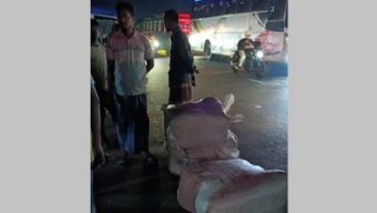 বরিশা‌লে ৩শ’ কেজি প‌লি‌থিন জব্দ