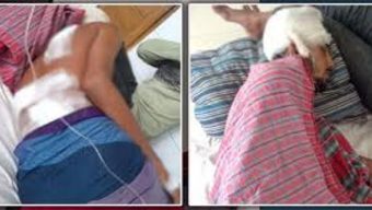 নলছিটিতে ছাত্রদলের দুইপক্ষের সংঘর্ষ, আহত ৫