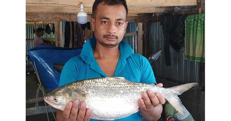 পটুয়াখালীতে ধরা পড়েছে ২ কেজি ২৮০ গ্রাম ওজনের এক ইলিশ