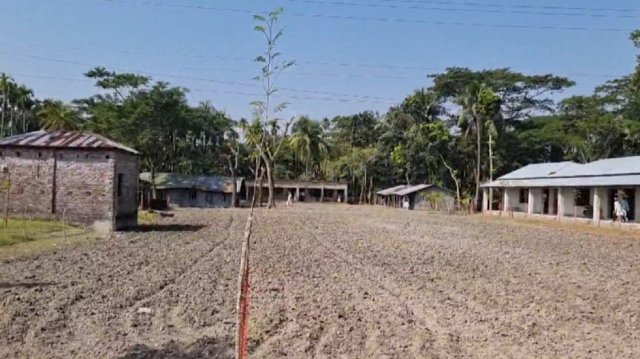 চরফ্যাশনে খেলা বন্ধ করার জন্য মাদ্রাসা মাঠে হচ্ছে আলু চাষ