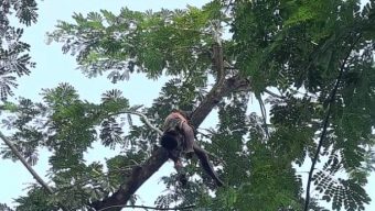 গলাচিপায় চুরির অভিযোগে মারধরের ৬ দিন পর প্রতিবন্ধীর মৃত্যু