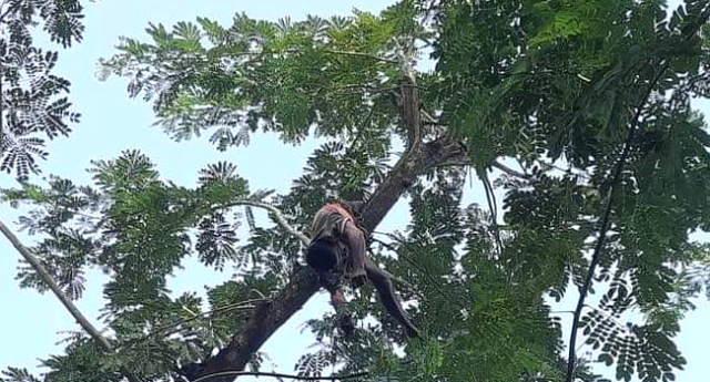 গলাচিপায় চুরির অভিযোগে মারধরের ৬ দিন পর প্রতিবন্ধীর মৃত্যু