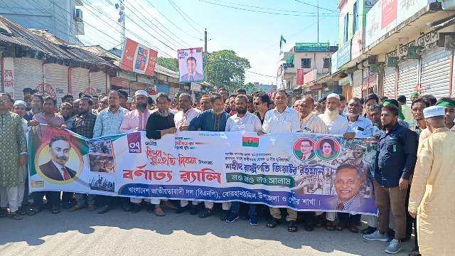 বোরহানউদ্দিনে জাতীয় বিপ্লব ও সংহতি দিবস পালিত