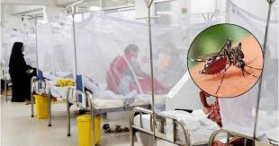 ডেঙ্গু আক্রান্ত হয়ে বরিশালে ২ নারীসহ ৩ জনের মৃত্যু