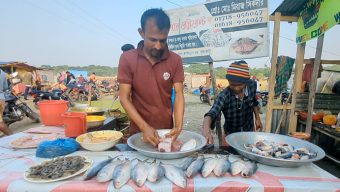 পর্যটকদের কাছে জনপ্রিয় হয়ে উঠছে কাউয়ার চরের ইলিশ-খিচুড়ি