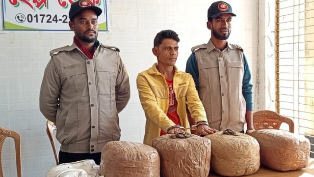 স্বরূপকাঠিতে ১৬ কেজি গাঁজাসহ মাদক ব্যবসায়ী গ্রেফতার