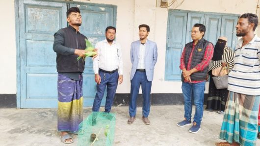 আমতলীতে বিক্রিকালে প্রশাসনের হস্তক্ষেতে দুই টিয়াপাখী ও ৪টি সাপ বনে অবমুক্ত