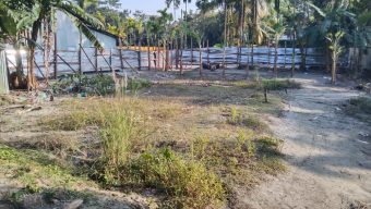 লালমোহনে ভোগদখলীয় জায়গা ও বাড়ি জোড়পূর্বক দখল করার চেষ্টার অভিযোগ