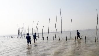 তজুমদ্দিনে ২০লক্ষ টাকা অবৈধ খুটি-জাল ধ্বংস