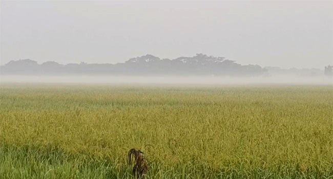 তীব্র শীতে কাবু দক্ষিণাঞ্চলের সাধারণ মানুষ
