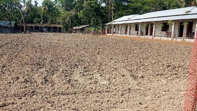 চরফ্যাশনে মাদ্রাসা মাঠে আলু চাষ, খেলাধুলার সুযোগ বঞ্চিত শিক্ষার্থীরা