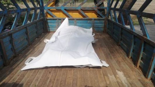 তজুমদ্দিনে সুপারি চুরি করতে গিয়ে গাছ থেকে পড়ে যুবকের মৃত্যু!