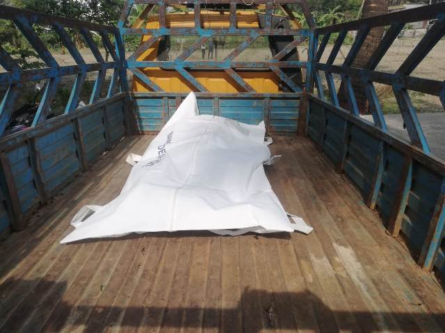 তজুমদ্দিনে সুপারি চুরি করতে গিয়ে গাছ থেকে পড়ে যুবকের মৃত্যু!