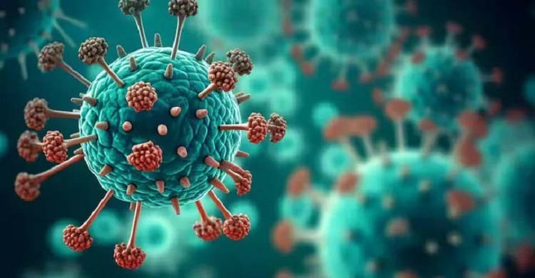 দেশে এইচএমপি ভাইরাস শনাক্ত