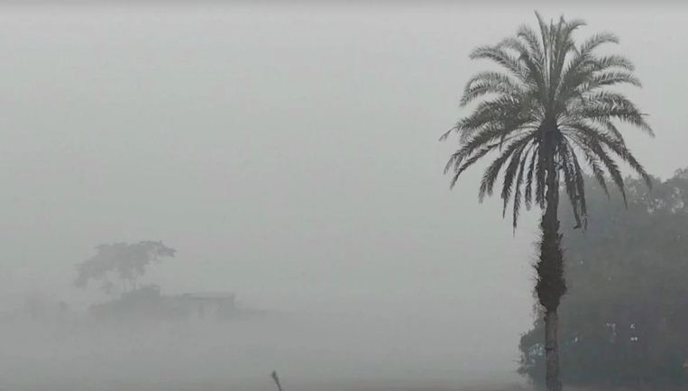 ঘন কুয়াশায় ঢাকা পড়েছে পটুয়াখালীর জনপদ