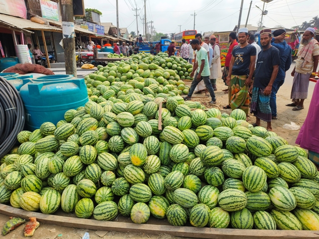 গরমের রসালো ফল তরমুজে আমতলীর বাজার সয়লাব