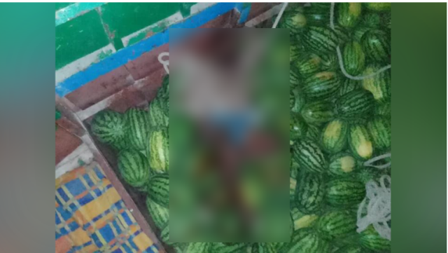 বাউফল নদীতে ডাকাতের কবলে তরমুজবাহী ট্রলার, আহত ৯