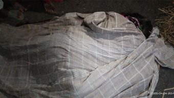 পটুয়াখালীতে রান্নাঘরে সাপের কামড়ে গৃহবধূর মৃত্যু