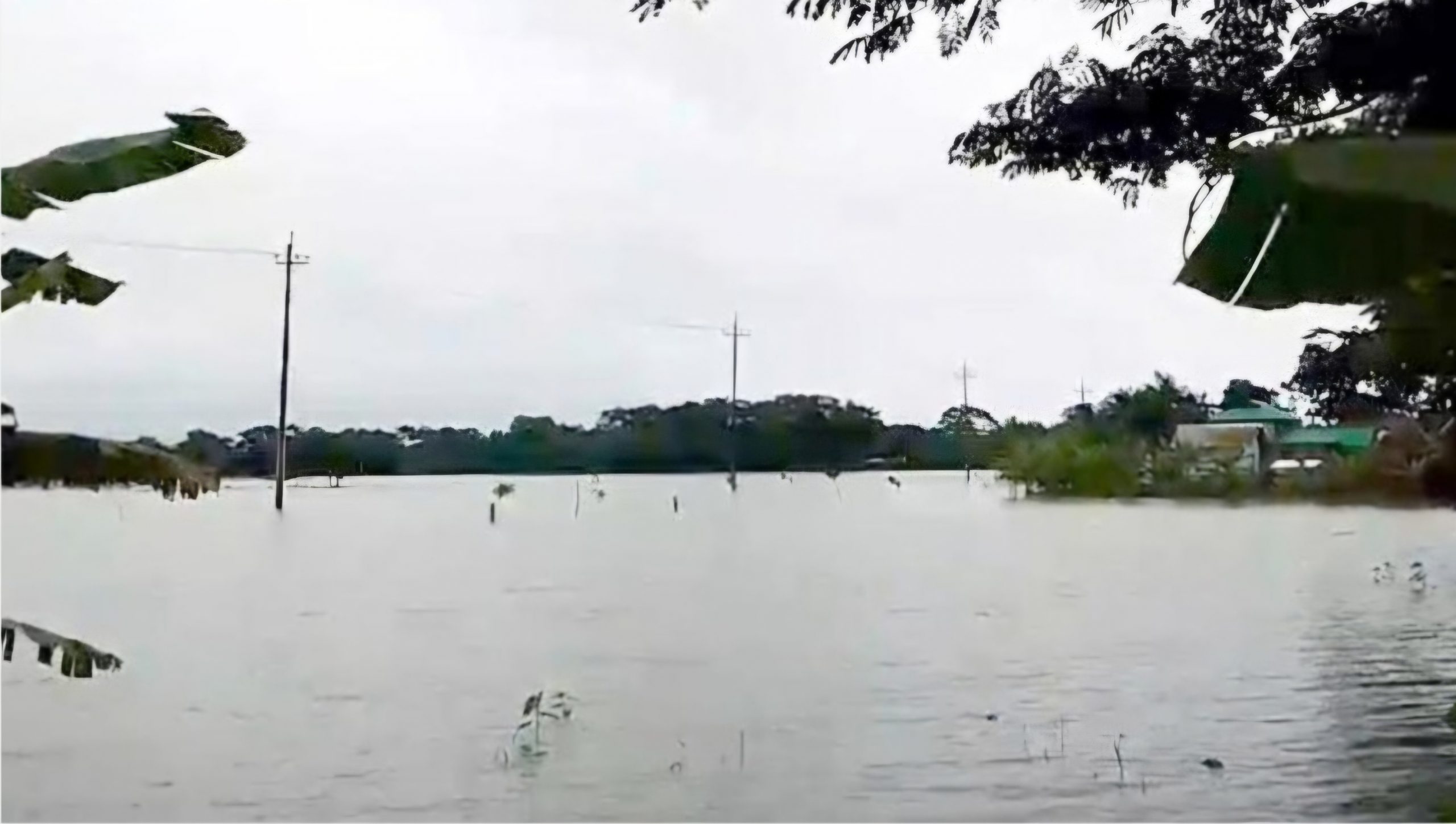 কলাপাড়ায় অস্বাভাবিক জোয়ারের জলোচ্ছ্বাসে ভাসছে বেড়িবাঁধের বাইরের নিম্নাঞ্চল