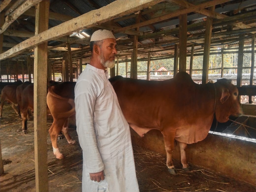 কোরবানিতে ১৬ লাখ টাকার গরু বিক্রি করবেন খামারি বাহালুল কবীর