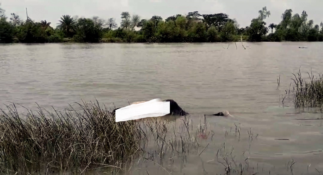 কলাপাড়ার বড়ইতলা নদী থেকে ভাসমান লাশ উদ্ধার