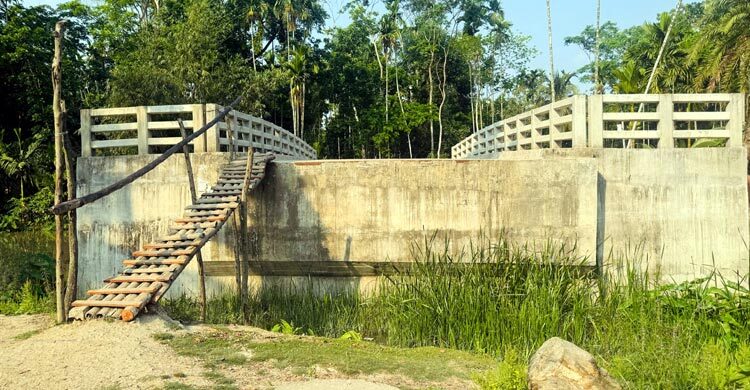 ঝালকাঠির সেতুতে উঠতে লাগে মই