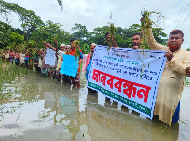 পাঁচ গ্রামের ২৫ হাজার হেক্টর জমিতে জলাবদ্ধতায় আউষ ধানে পঁচন