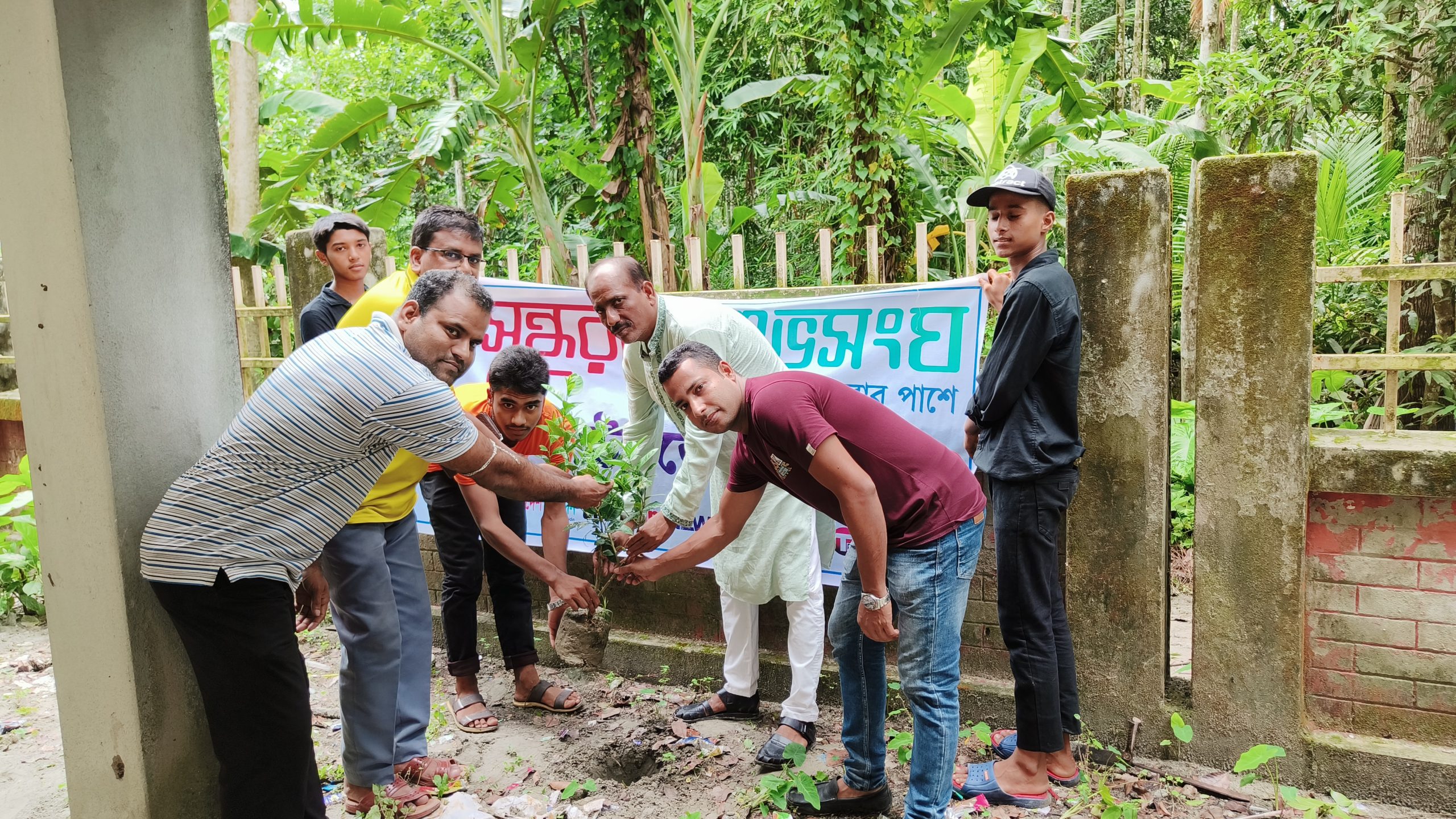 পরিবেশ সুরক্ষায় বেতাগীতে শুভসংঘের বৃক্ষরোপণ কর্মসূচি
