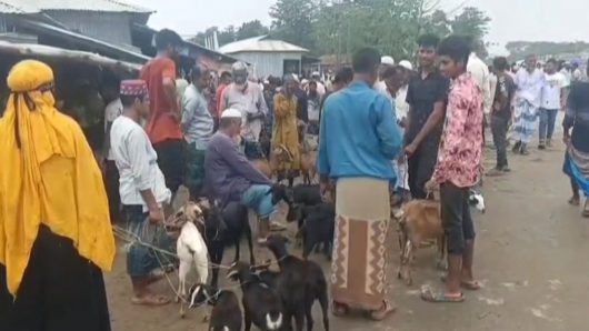 কলাপাড়ায় মহাসড়ক দখল করে অবৈধ পশুর হাট