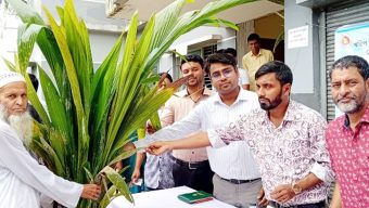 তজুমদ্দিনে বিনামূল্যে নারিকেলের চারা পেলো কৃষক ও শিক্ষা প্রতিষ্ঠান