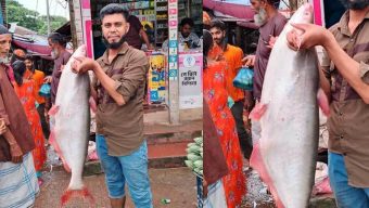 বরগুনায় বড়শিতে ধরা পড়ল ১১ কেজির পাঙ্গাশ, ৯ হাজার টাকায় বিক্রি
