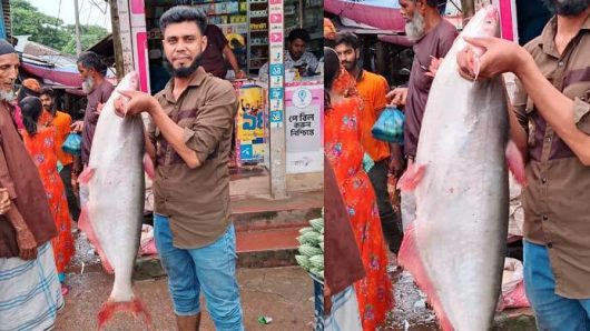বরগুনায় বড়শিতে ধরা পড়ল ১১ কেজির পাঙ্গাশ, ৯ হাজার টাকায় বিক্রি