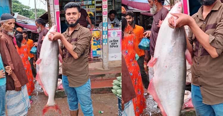 বরগুনায় বড়শিতে ধরা পড়ল ১১ কেজির পাঙ্গাশ, ৯ হাজার টাকায় বিক্রি