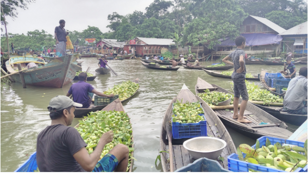 ঝালকাঠিতে জমে উঠেছে পেয়ারার ভাসমান হাট