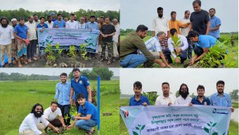 সবুজ উপকূল গড়তে কলাপাড়ায় মাসব্যাপী বৃক্ষরোপণ কর্মসূচি শুরু