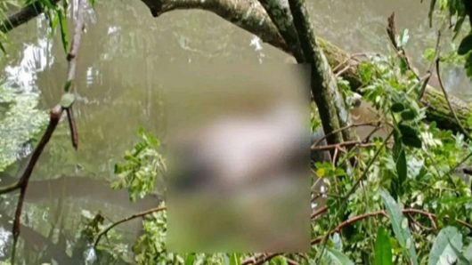 তজুমদ্দিনে পরিত্যাক্ত পুকুর থেকে বাকপ্রতিবন্ধীর লাশ উদ্ধার