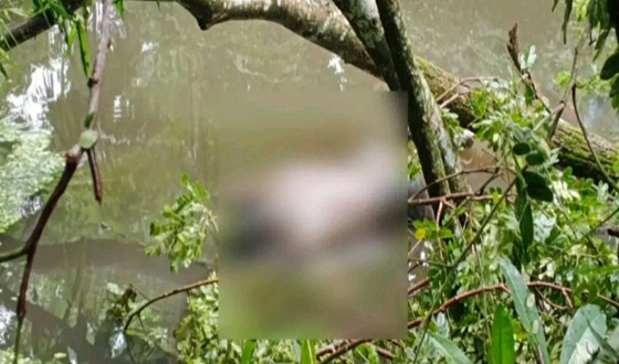 তজুমদ্দিনে পরিত্যাক্ত পুকুর থেকে বাকপ্রতিবন্ধীর লাশ উদ্ধার