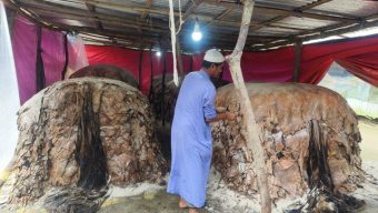 ক্রয় মূল্যের অর্ধেকের নীচে দাম বলছেন পাইকাররা চামড়ার মূল্যে ধস, দিশেহারা খুচরা ক্রেতারা