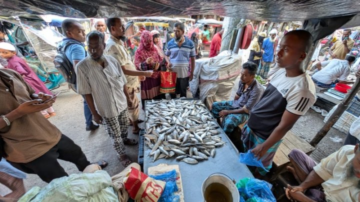 বরগুনায় ইলিশের কেজি ৫০০ টাকা, ক্রেতাদের ভিড়