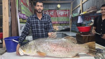কলাপাড়ায় জেলের জালে ধরা পড়ল ২১ কেজির কোরাল মাছ