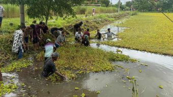 পুকুর সংস্কার করলো বরিশাল বিশ্ববিদ্যালয় ছাত্রদল