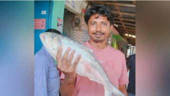 মহিপুরে ৬ হাজার টাকায় বিক্রি এক ইলিশ