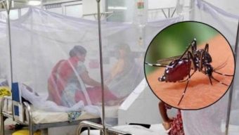 বরিশালে ডেঙ্গু আক্রান্তে তিনজনের মৃত্যু
