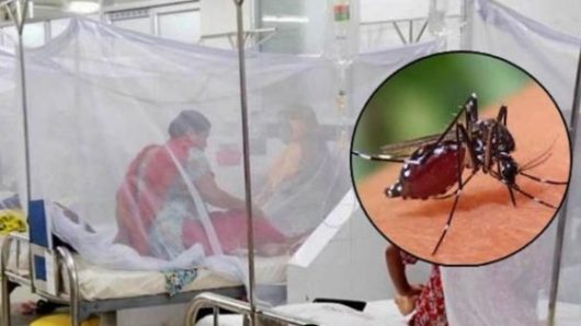 বরিশালে ডেঙ্গু আক্রান্তে তিনজনের মৃত্যু