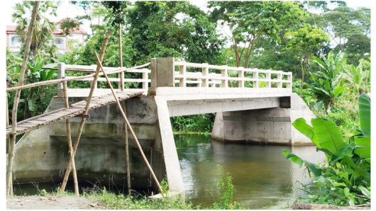 বরিশালে ২৭ লাখ টাকার সেতুতে উঠতে হয় মই দিয়ে