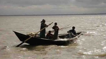 বরিশালে চলছে মা-ইলিশ নিধনের মহোৎসব