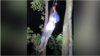 পটুয়াখালীতে শিশুকে হত্যার পর ৭০ ফুট গাছের ওপর ওঠেও রক্ষা পেল না যুবক